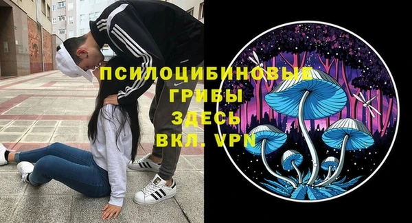 не бодяженный Коряжма