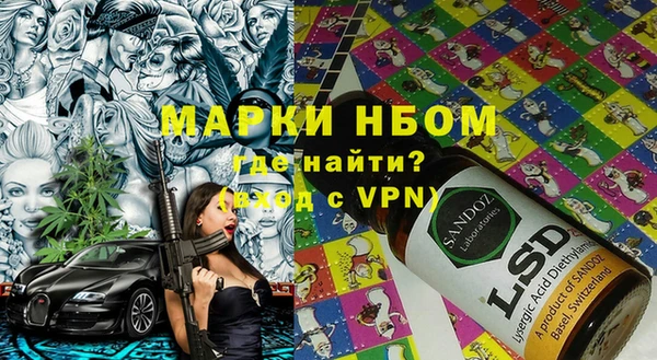 сатива Козельск