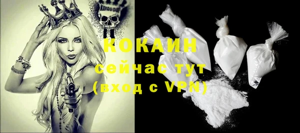 сатива Козельск
