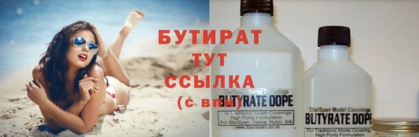 сатива Козельск